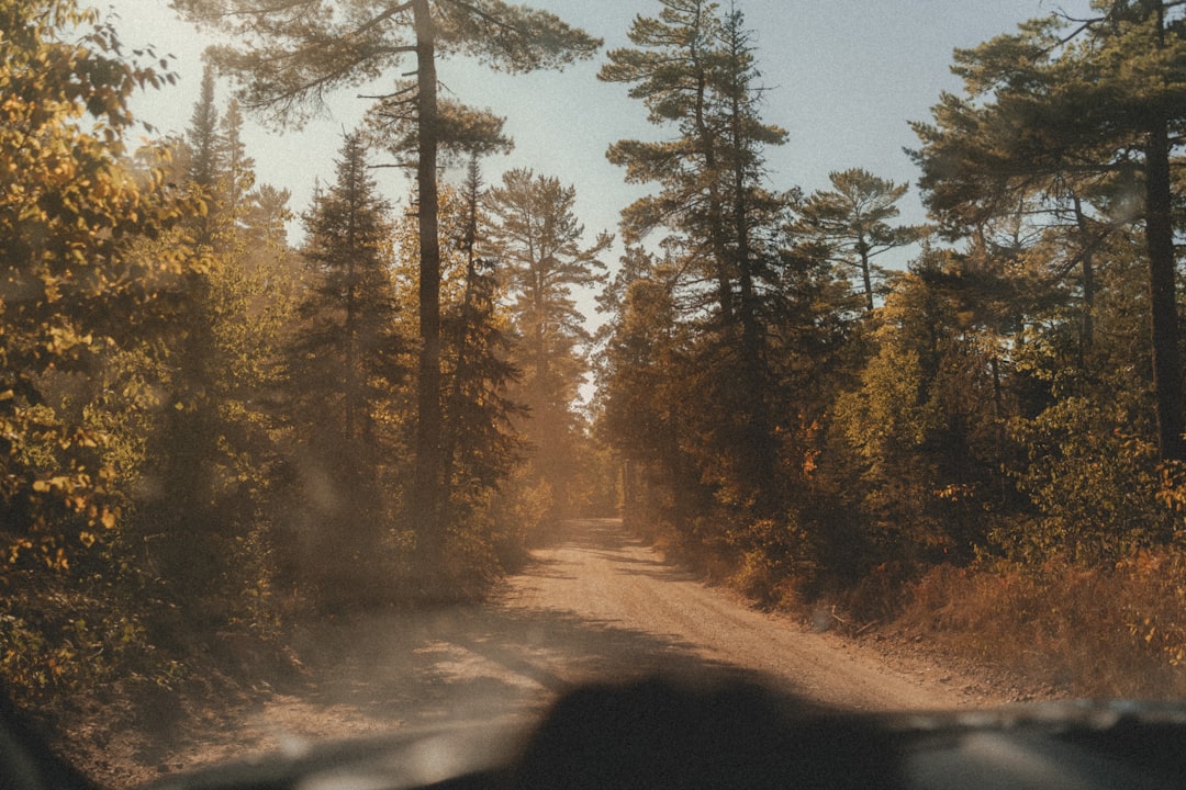 The Eco-Traveler’s Guide to Sustainable Adventures